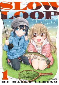 Slow Loop