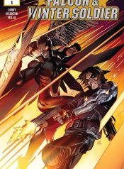 Falcon & Winter Soldier