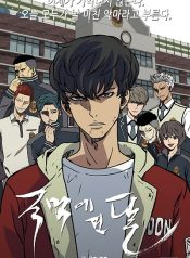 Beyond The Strongest