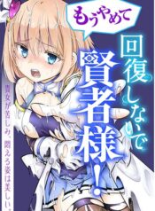 Mou Yamete Kaifuku Shinaide Kenja-sama!